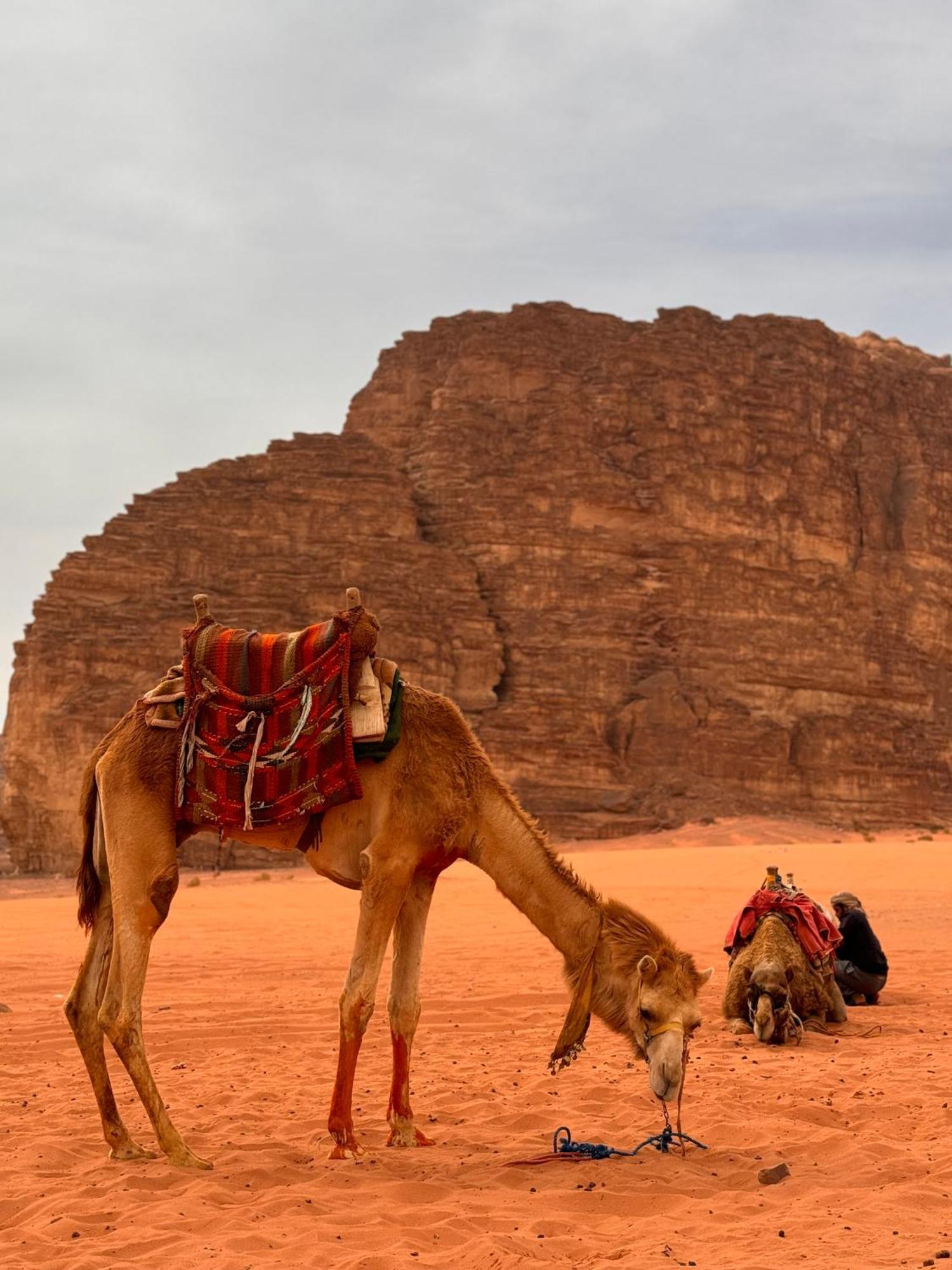 Rum Maria Luxury Camp & Bubble Rooms Wadi Rum Exteriör bild