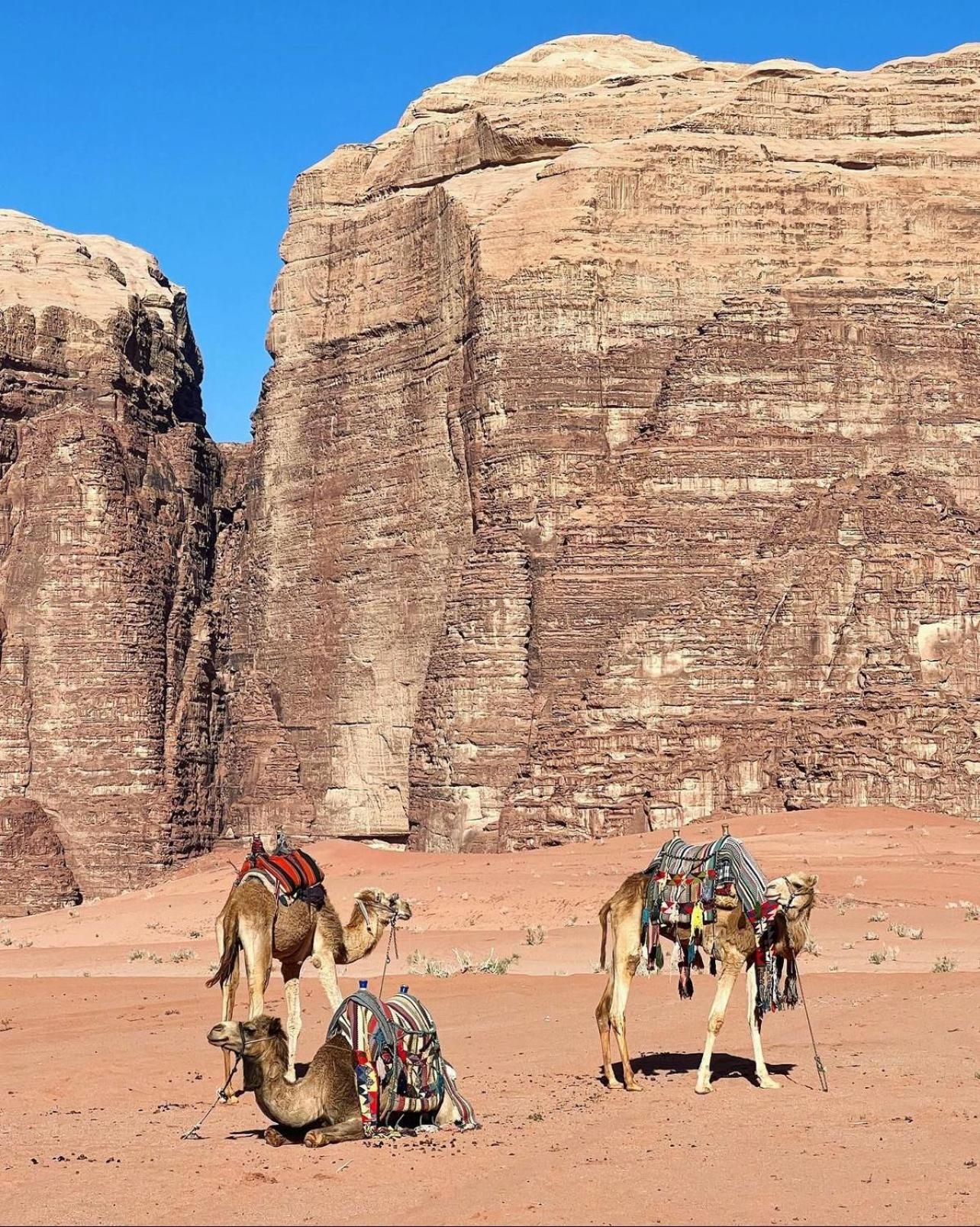 Rum Maria Luxury Camp & Bubble Rooms Wadi Rum Exteriör bild